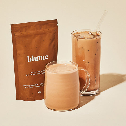 Reishi Hot Cacao Superfood Latte Blend