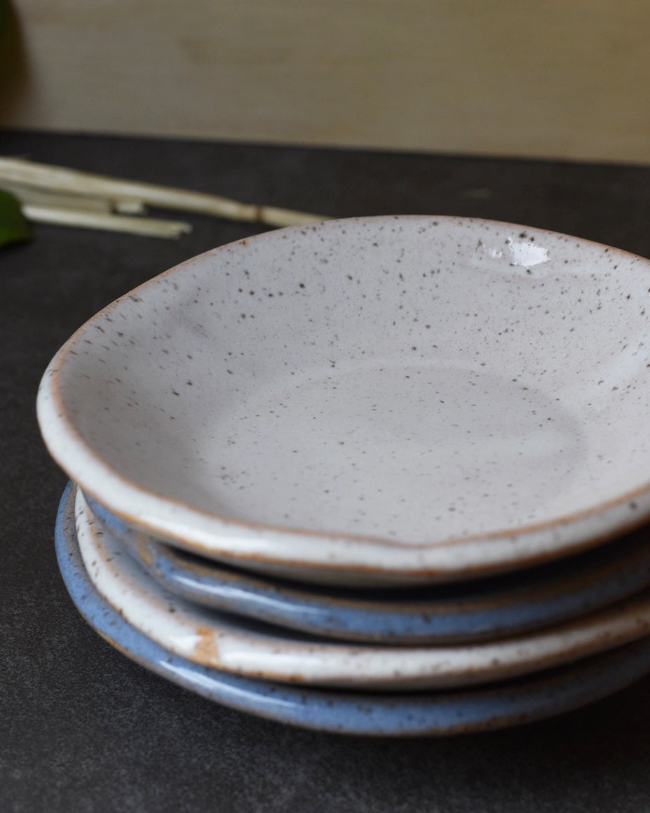 The Ceramic Dish