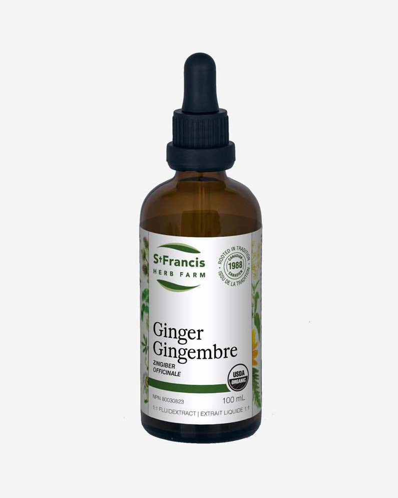 Ginger Liquid Extract Tincture