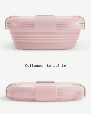 24 oz Collapsible Box - Carnation