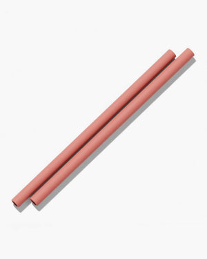 Silicone Straws (2 Pack) - Clay